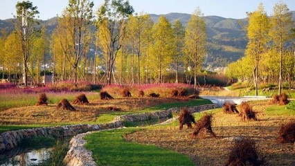 東方園林 向全能型生態(tài)環(huán)保企業(yè)邁進(jìn)，持續(xù)深耕循環(huán)經(jīng)濟(jì)與樹木種植經(jīng)營